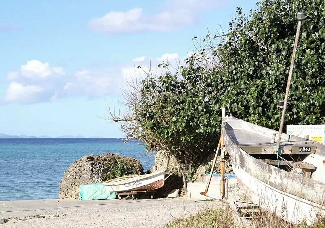 Old wooden boat beached beside coastal shrubs and rocks